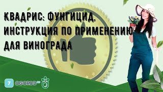 Квадрис фунгицид инструкция по применению для винограда [upl. by Yras]