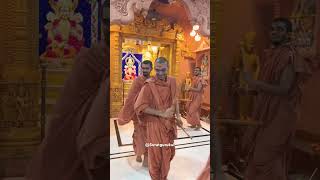 Ras suratgurukul swaminarayan shorts status ras saints darshan music [upl. by Uund]