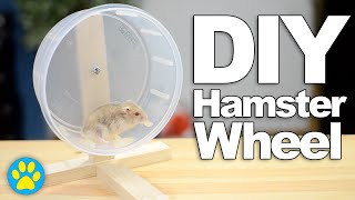 DIY Hamster Wheel  DIYJuly 16 [upl. by Ayikahs]