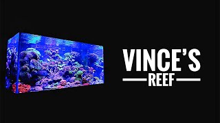 Vinces REEF TANK  25 years without a water change [upl. by Haven]