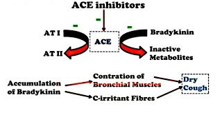 How ACE Inhibitors Produce Dry Cough  PharmaCos [upl. by Nolrak779]