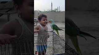 Parrot ki dosti cutebaby 31 August 2024 [upl. by Yellah]