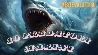 Predatori Marini Più Letali e Pericolosi [upl. by Nyleikcaj]