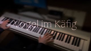 Vogel im Käfig  AOT  Best Part Piano [upl. by Nesmat421]