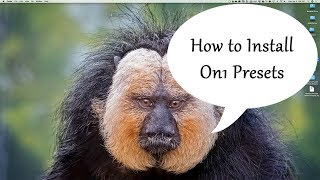 How To Install On1 Photo RAW 2018 Presets [upl. by Carman]