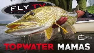 FLY TV  Topwater Mamas Pike Fly Fishing in the Mountains [upl. by Nwahsram]