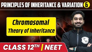 Principles of Inheritance amp Variation 06  Chromosomal Theory of Inheritance  Class 12thNEET [upl. by Anayad]