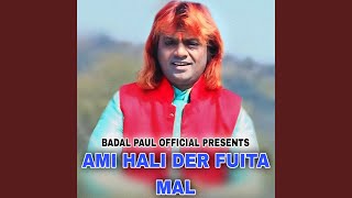 AMI HALI DER FUITA MAL [upl. by Atnohs]