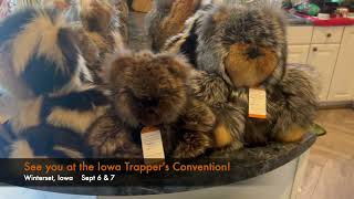 Iowa Trapper Bears will see you in September [upl. by Down]