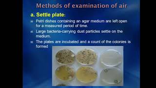 Bacteriological Examination of Air by J Mary Pohsnem Dept of MLT [upl. by Alur792]