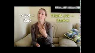 Learn Afrikaans no 2 How to say Thank you  Baie Dankie [upl. by Herzig]