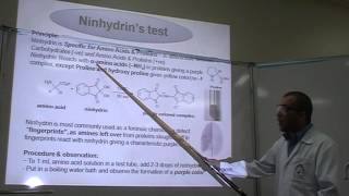 Ninhydrins test Part 1 Identification of Proteins or Amino Acids [upl. by Nerrad]