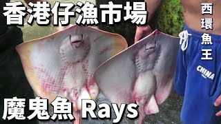 西環魚王 香港仔漁市場買貨日實況 Hong Kong Fisherman Seafood Rays Batoidea [upl. by Viva]