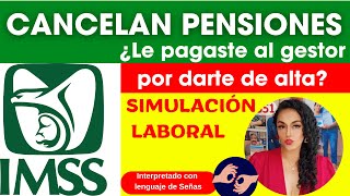 4 Ley 73 Cancelan Pensiones por Simulación Laboral IMSS [upl. by Suvart310]