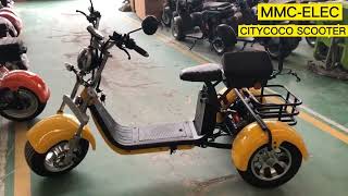 EEC ThreeWheel Electric Motorcycle Adult Tricycle Electric Scooter Two Batteries Are Optional Scoo [upl. by Staw]