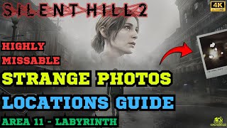 All Strange Photos in Area 11 Labyrinth  Key item for Pieces Unarranged Trophy Guide [upl. by Aiderfla]