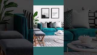 Must Try Sofa Colours  Mansaard designscape  தமிழ் [upl. by Gala470]