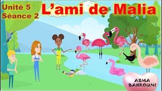 Lami de Malia  Activité découte  Unité 5 J 2  3ème année primaire  français [upl. by Ynnad]