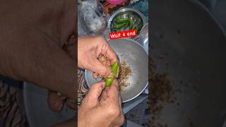 Hari Mirch Ka Achaar Recipe  Green Chlli Pickle Recipe By Food Fusion سبز مرچ کا اچار shorts [upl. by Dnaletak844]