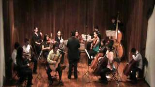 Concerto in D major RV 93 for Laud 2 Violins and Basso Continuo  2do Movimiento [upl. by Esoranna553]