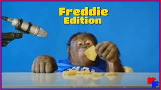 Orangutan ASMR  Freddie Edition [upl. by Ful]