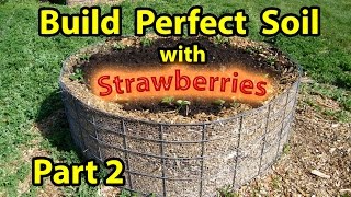 How to Build  NATURES Healthy Soil  in Raised Wood Chip Organic Bed Gardening  Designs  Part 2 [upl. by Lrae487]