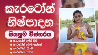 Carotone Cream Pack Full Review Sinhala  Cream Body Loation Soap Serum Brigtning Oil  කැරටෝන් [upl. by Limay]