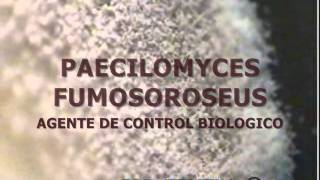 BIOZENTLA0001wmv [upl. by Engenia]