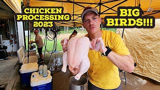 Processing Chickens 2023  Our Set Up and How to Dispatch a Chicken [upl. by Morie205]