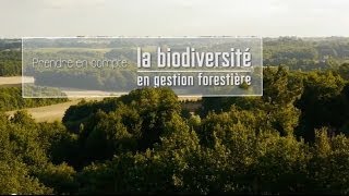 Prendre en compte la biodiversité en gestion forestière [upl. by Crosby243]