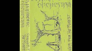 Disharmonic Orchestra  Requiem for the Forest 1988 [upl. by Milewski44]