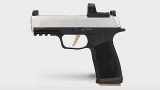 SIG Custom Works P365 Concierge Service [upl. by Akzseinga]