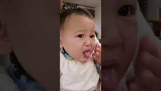 赤ちゃんが初めてわさびを食べてみたThe baby tried wasabi for the first time [upl. by Aznecniv]