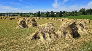 Ohio Amish Country 2024 [upl. by Foley]