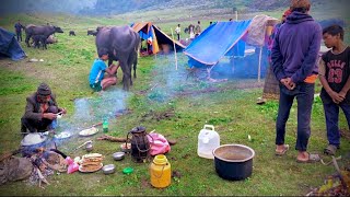 RildokAn organic food eaten by the Himalayan people community of Nepal  Rural Nepali village [upl. by Kurt]