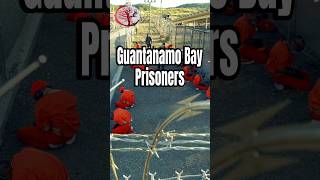 Guantanamo Bay Prison [upl. by Jung]