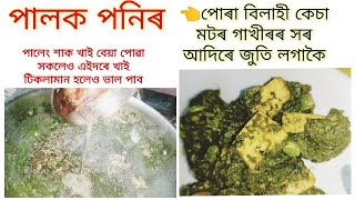 পালেং শাকেৰে পনিৰ । পালক পনিৰ । palakpaneer । Paneer recipe । Veg recipe । Less oil । Vlog । Tiffin [upl. by Ylluz]