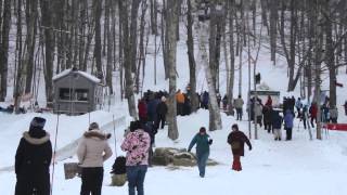 25th Annual US National Toboggan Championships 2015 in Camden Maine [upl. by Marney]