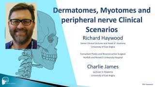 Dermatomes and myotomes clinical scenarios [upl. by Vicky161]