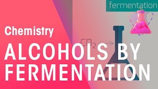 Making Alcohols By Fermentation amp From Ethane  Organic Chemistry  Chemistry  FuseSchool [upl. by Thalia]