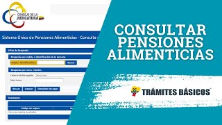 Consulta de pensiones alimenticias SUPA Ecuador ¿Cuánto debo ¿Ya me depositaron [upl. by Stark]