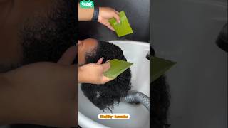 Benefits Of Aloe Vera For Hair  Silky Hair  Good Health haircare aloeveraforhairgrowth shorts [upl. by Schaper]