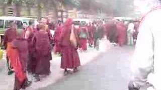 Monks at Kagyu Monlam Prayer Festival in Bodhgaya [upl. by Jerroll61]