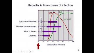 Infections Cases  Revision 102024 [upl. by Zarla883]