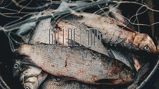 Gillnet Fishing in Northern Ontario Canada  First Nations [upl. by Atsirhcal195]