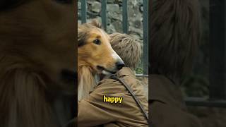 2 Escapes The Dogs Road To Bravery movieshorts [upl. by Enomes]