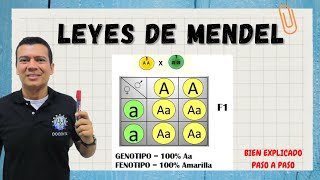 LEYES DE MENDEL LEYES DE LA GENÉTICA CUADRO DE PUNNET CODOMINANCIA DOMINANCIA INCOMPLETA [upl. by Canada565]