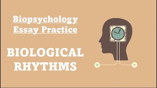 ESSAY PRACTICE Biological Rhythms [upl. by Hsakiv792]