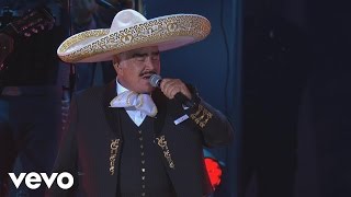 Vicente Fernández  Hermoso Cariño En VivoUn Azteca en el AztecaVersión Editada [upl. by Anitnamaid565]