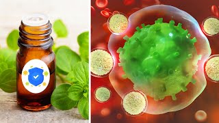 Top 12 Herbs to Destroy Viruses Fast and Boost Immune System [upl. by Mercer]